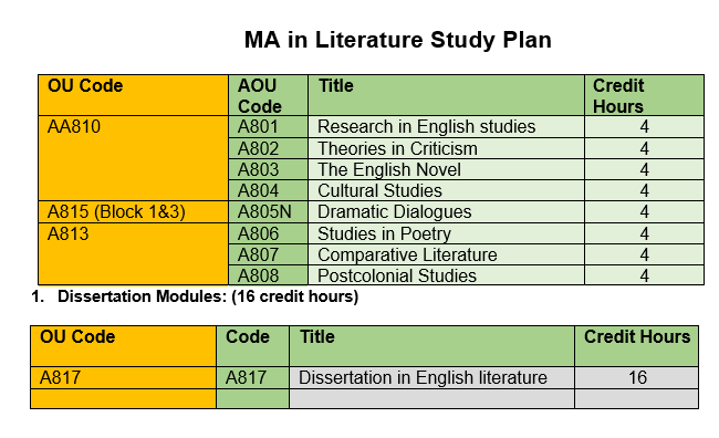 MA lit Academic Plan.PNG