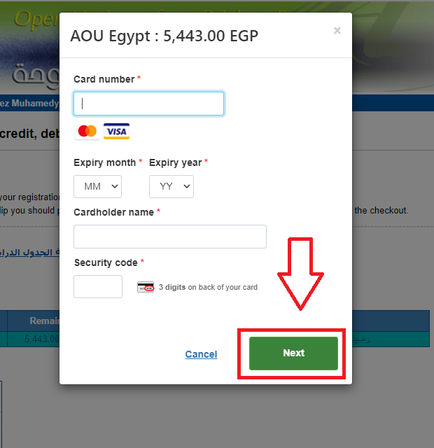 paynext1.png